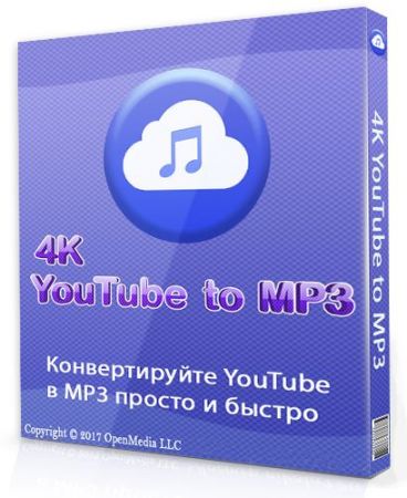 4K YouTube to MP3 3.13.0.3810 (2020)